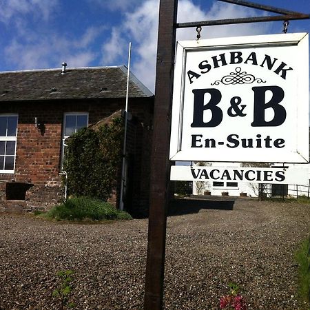 דריימן Ashbank Bed & Breakfast מראה חיצוני תמונה