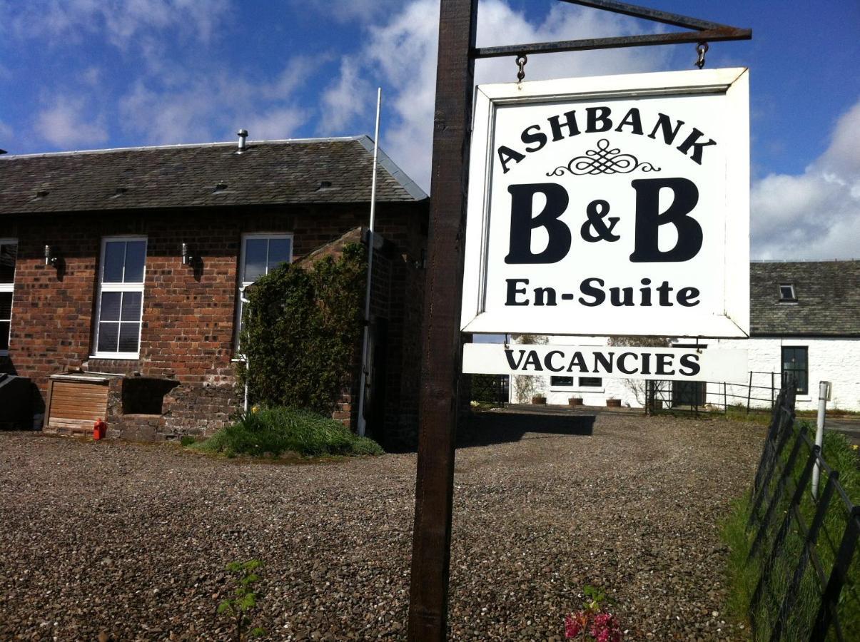 דריימן Ashbank Bed & Breakfast מראה חיצוני תמונה